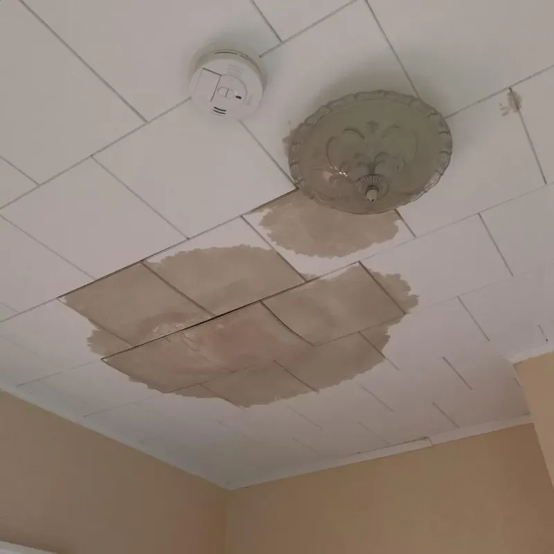 Ceiling Water Damage Repair in Putnam, CT