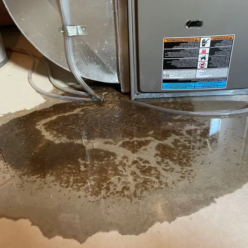 Pipe Burst and Leak Restoration in Putnam, CT