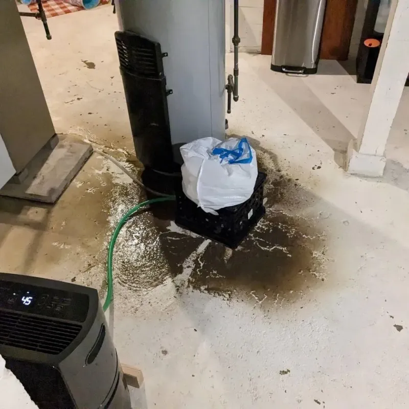 Sewage Backup Cleanup Service in Putnam, CT